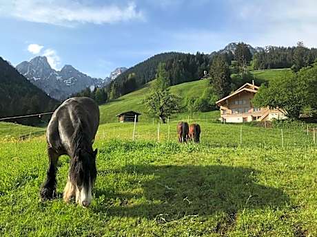 Au Pré des Chevaux