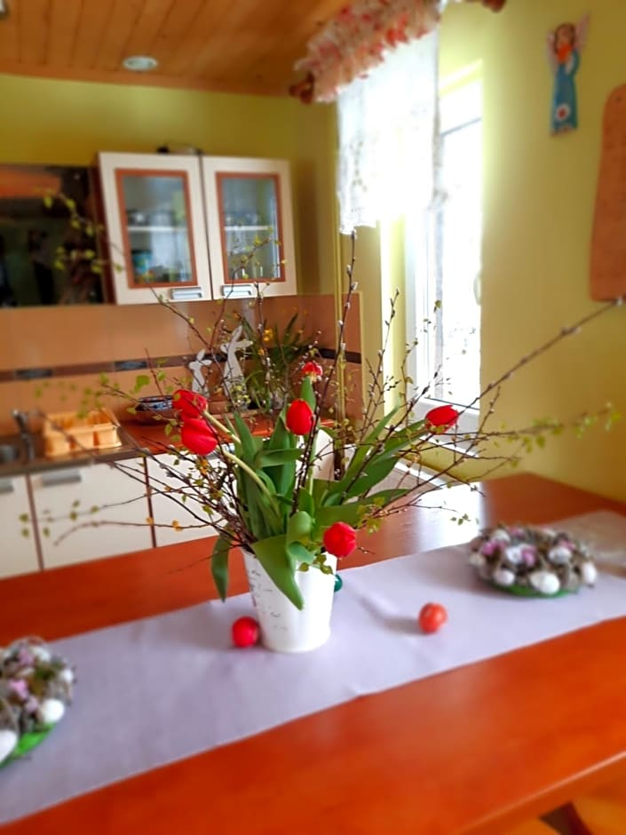 Domki i Apartamenty Rogate Anioły