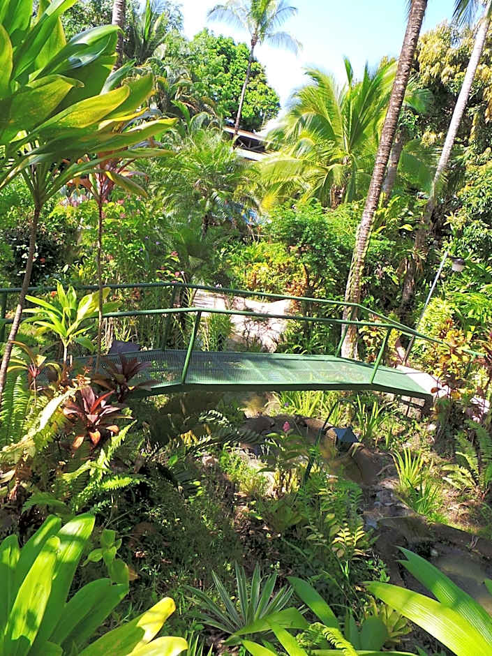 The Falls at Manuel Antonio