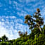 Dantica Cloud Forest Lodge