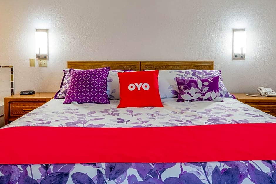 OYO Hotel Chesaning Route 52 & Hwy 57
