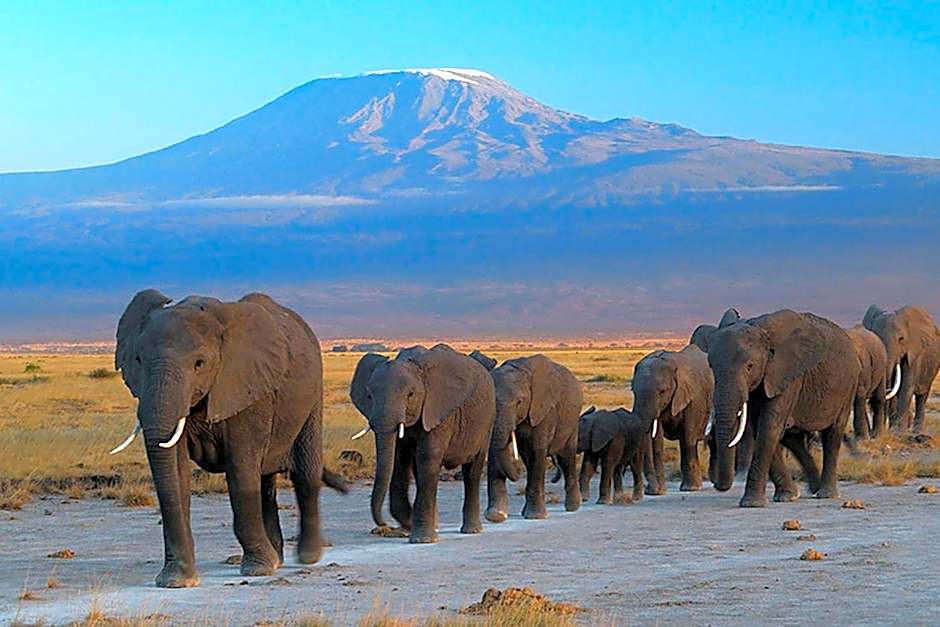Ol Tukai Lodge Amboseli