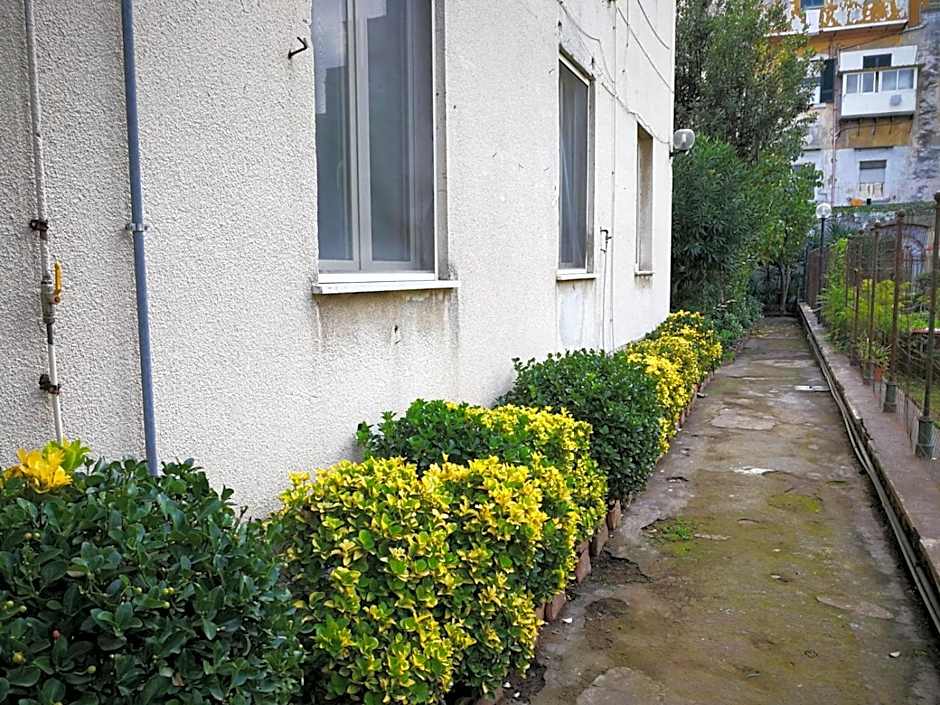 Il Giardino Di Vico Neve