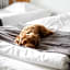 Hotel Sophia by Tartuhotels