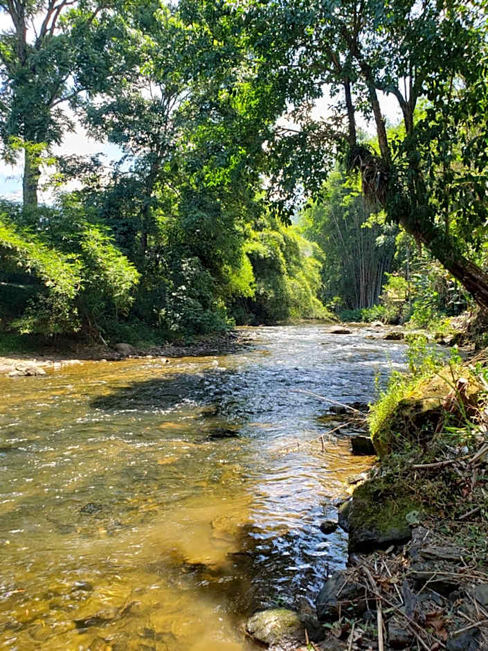 Nina-Flor Pousada Lumiar