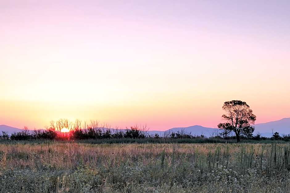 Residence La Canova II