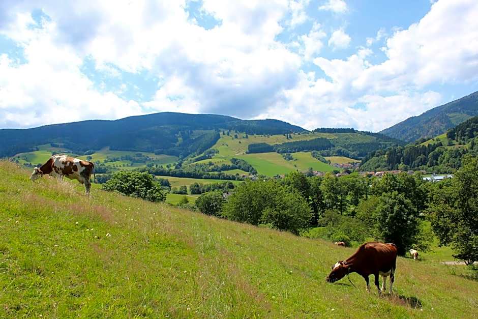 Landgasthof zum Schützen