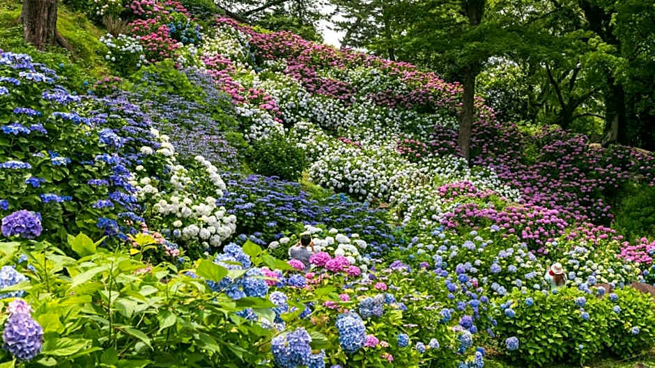 Odawara Terminal Hotel