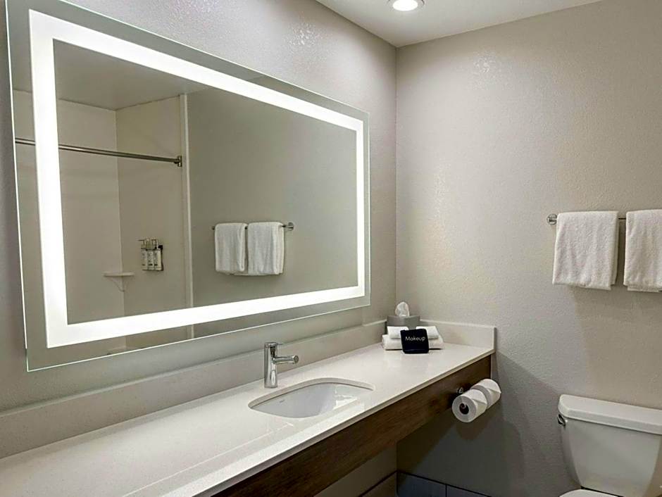 Foto 1 di 5 di Standard 1 King Bed, Hearing Accessible, Bathtub