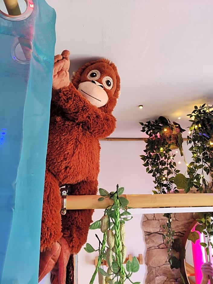 Wonder Room Paraiso Magico Habitacion