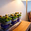 Medi Terre Boutique Hotel - By Saida Hotels