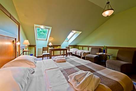 Double or Twin Room with Sauna and Jacuzzi access