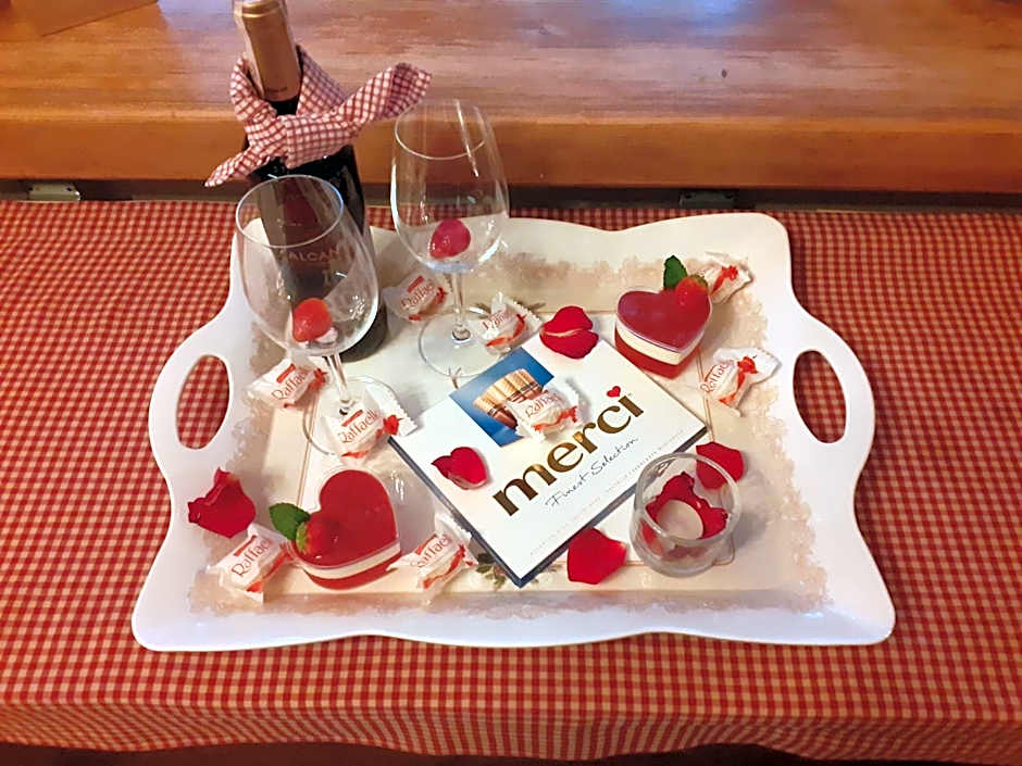 Willa Pod Miedzą 200 m do Term