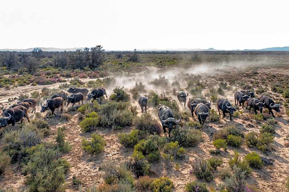 Inverdoorn Game Reserve Lodge
