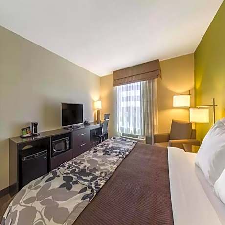 King Room - Accessible/Non-Smoking