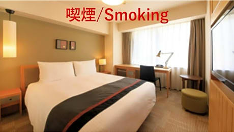 Double Room - Smoking