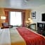 Comfort Inn & Suites Amarillo West Near Medical Center