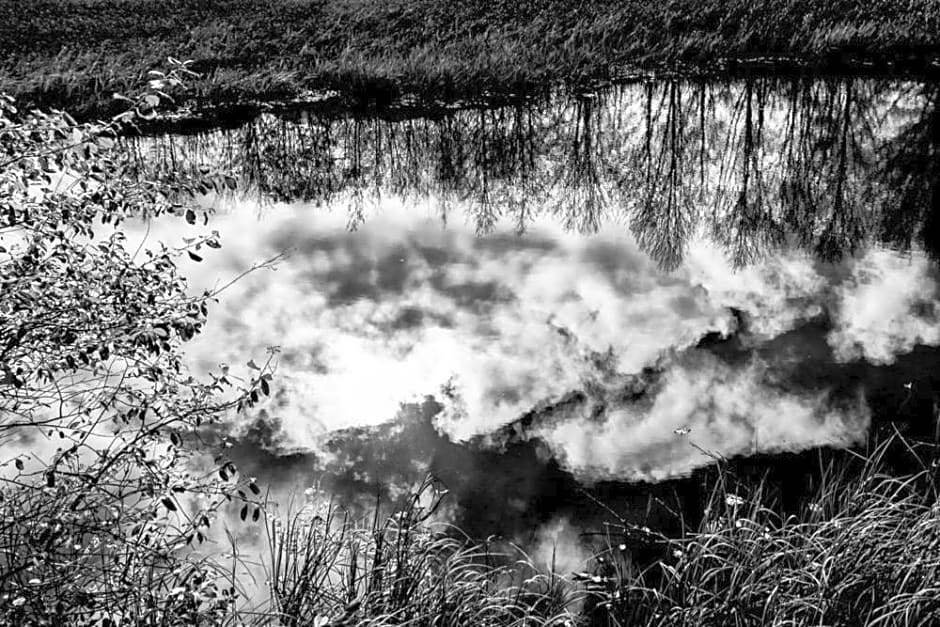 Viandanti, Artisti e Sognatori