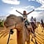 The Luxury ERG Safari Camp