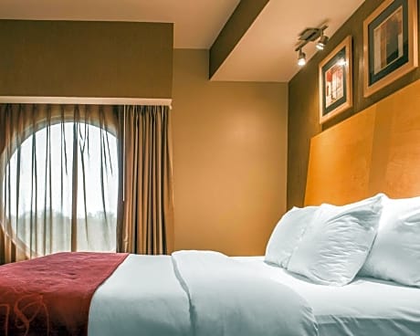 1 King Bed, Suite, Nonsmoking