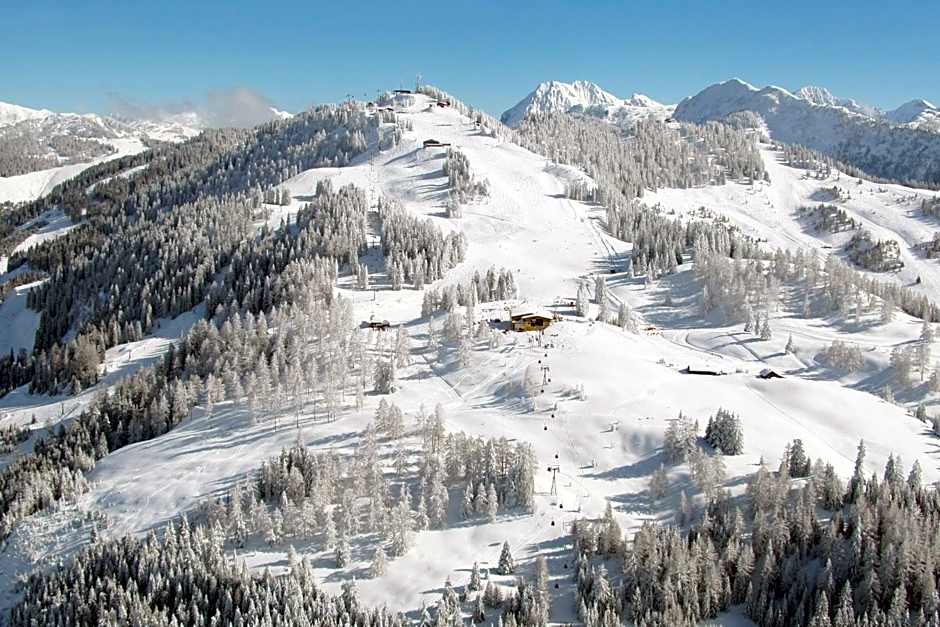 Hotel Restaurant Stöcklwirt