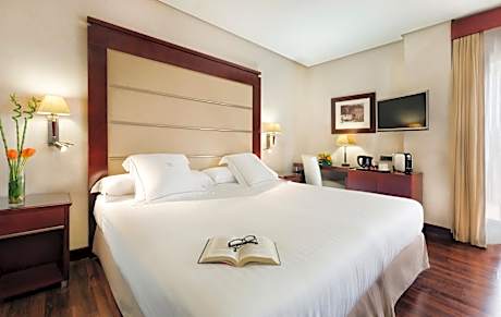 Junior Suite with Terrace