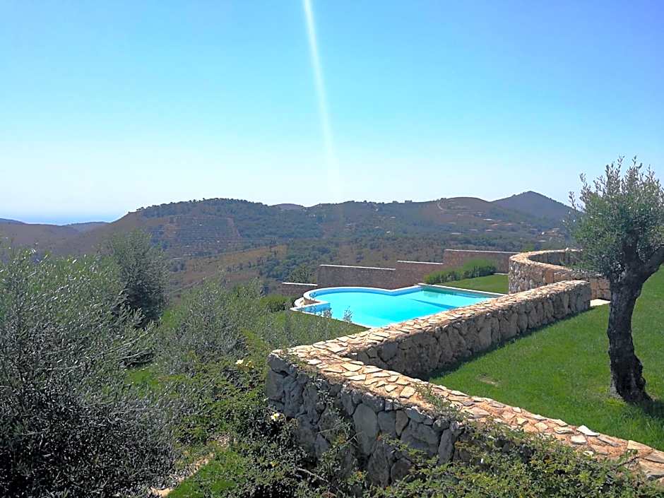 Collina Degli Ulivi B&B