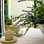 B&B Katerine