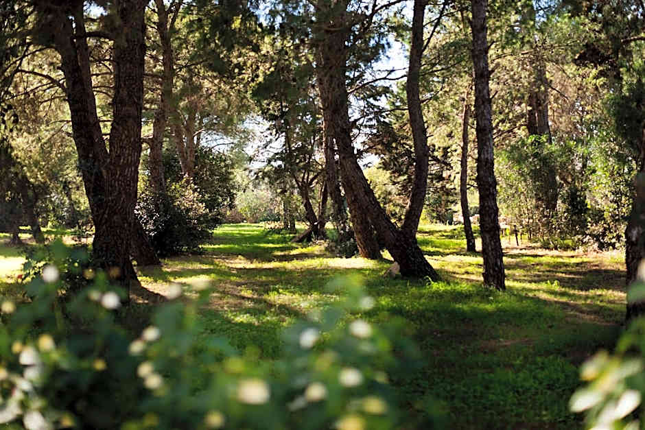 Masseria Borgo Mortella