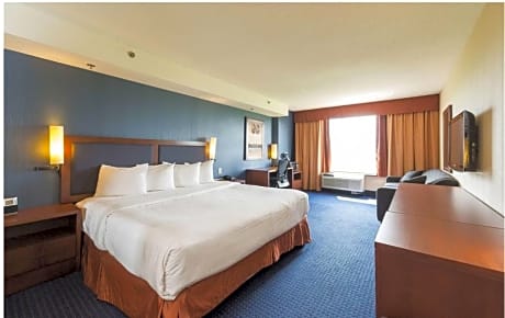 1 King Bed, Suite, Nonsmoking