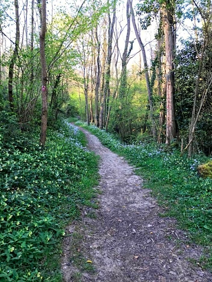 chambres d'hotes Labatut