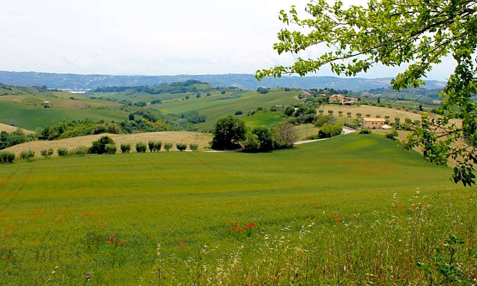 B&B Verde Mare – Acquaviva Picena, MO