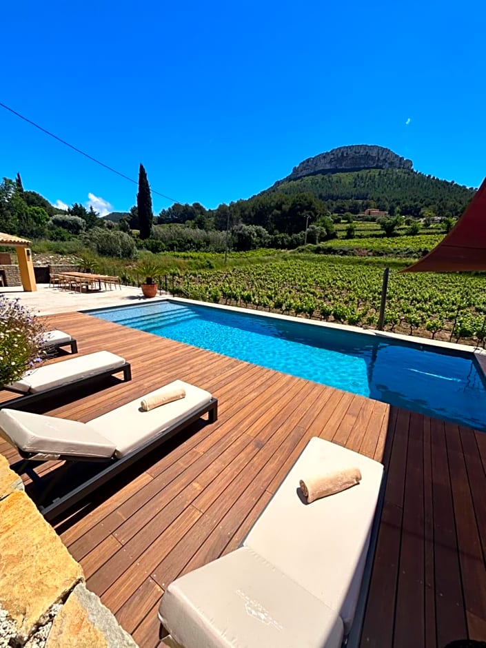 Côté vignes cassis