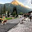 Alpine Touring Hotel-petfriendly