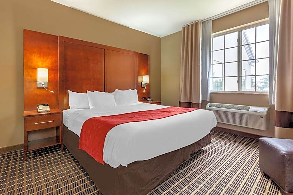 Photo 1 of 4 of 1 King Bed Suite, Accessible, Roll in Shower