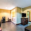 Rodeway Inn & Suites Houston Near Medical Center