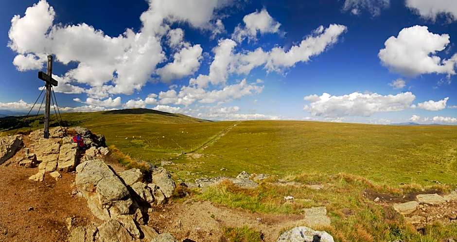 Hotel Alpengasthof Hochegger