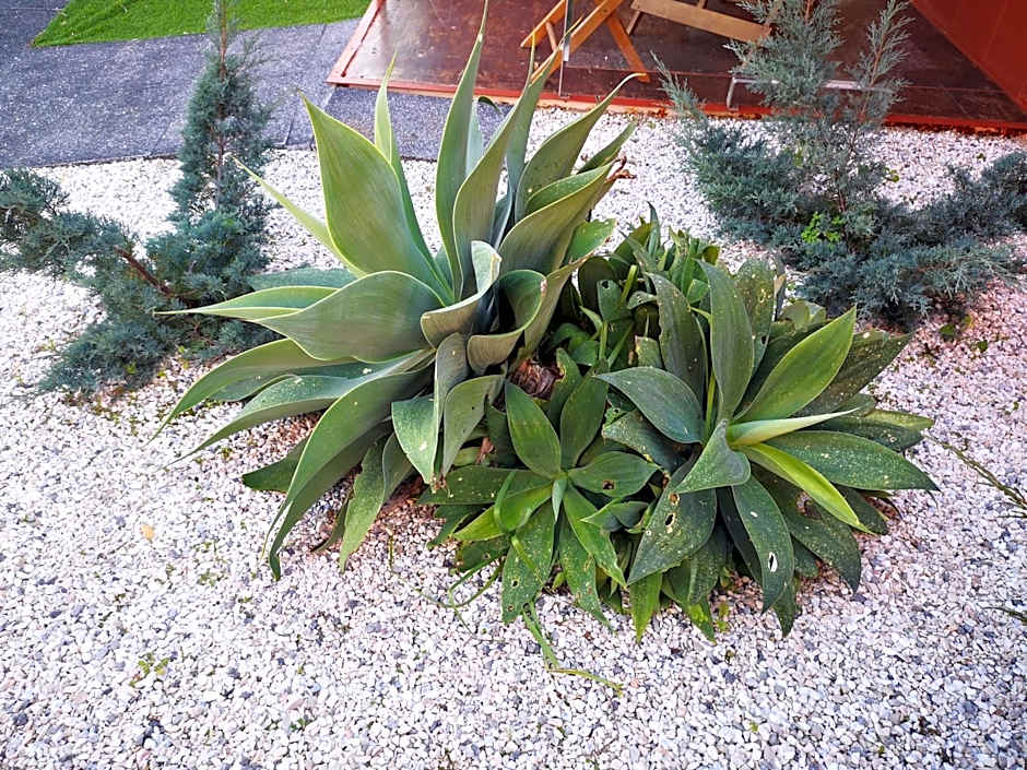 Family Surf Home - Bungalows