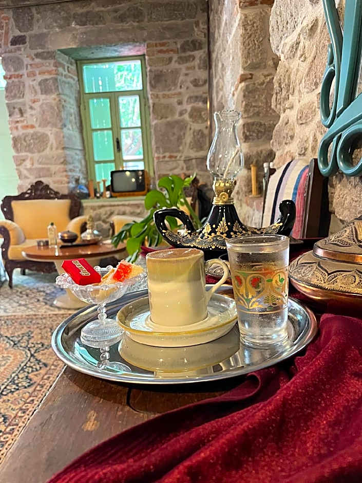 ARİSTONİCUS BUTİK HOTEL