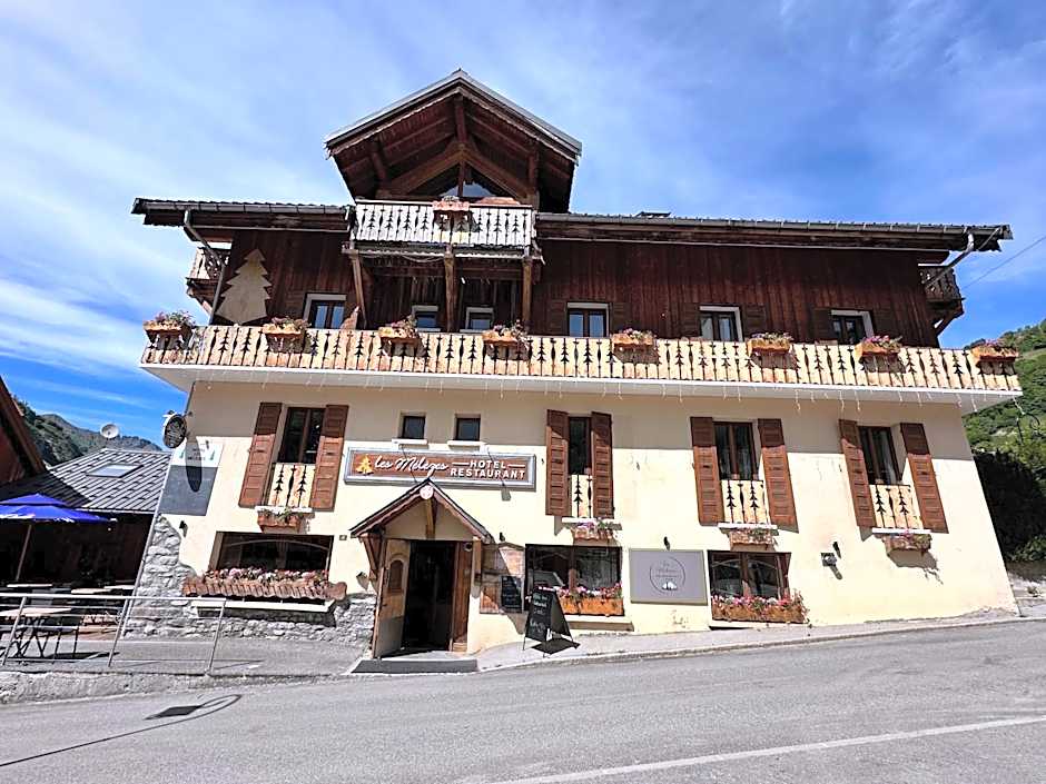 Hôtel-Chalet les Mélèzes