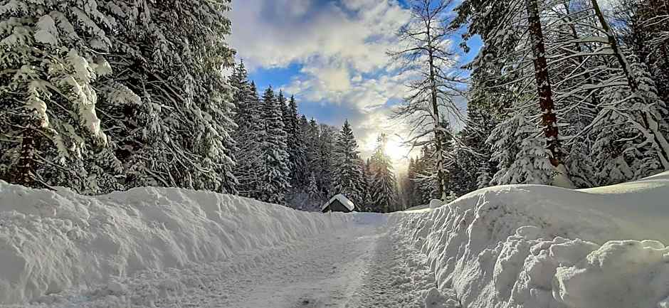 JUFA Hotel Altaussee