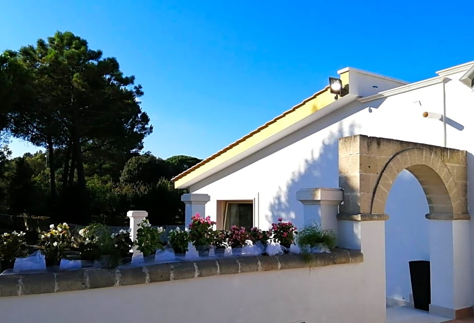B&B Trulli e Mare