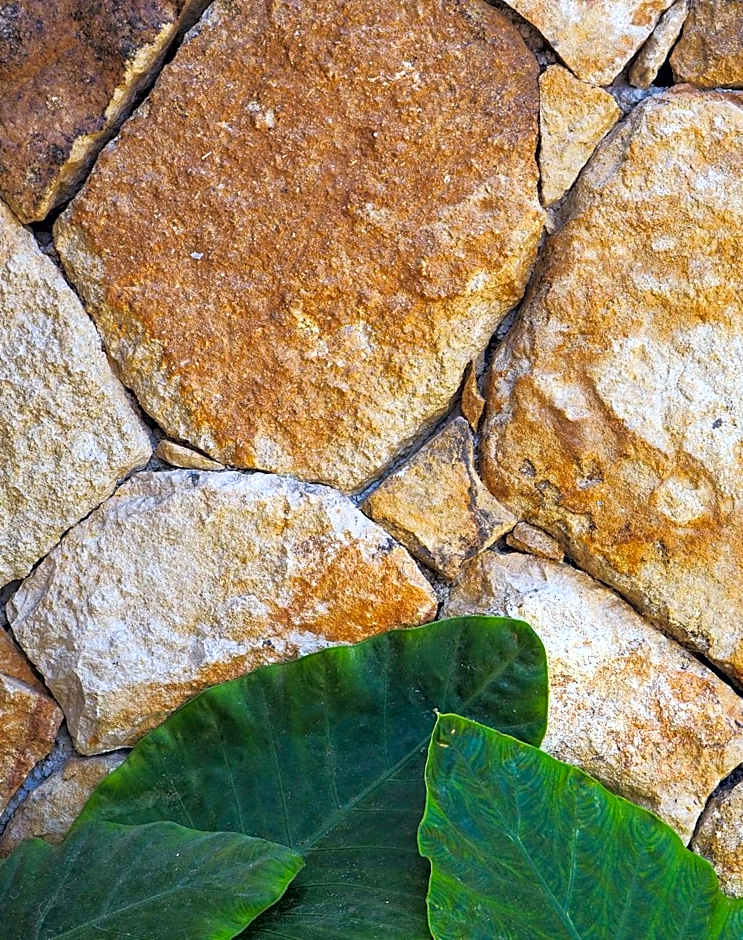 Suku Lifestyle Hotel & Villas