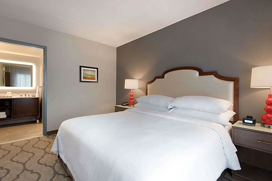 Embassy Suites By Hilton Chicago-Naperville