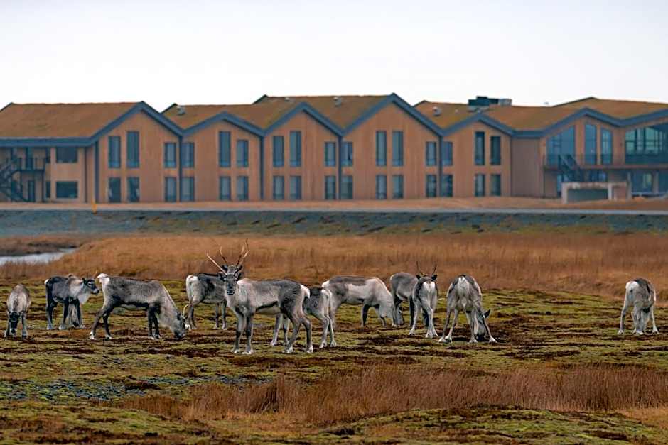 Hótel Jökulsárlón - Glacier Lagoon Hotel