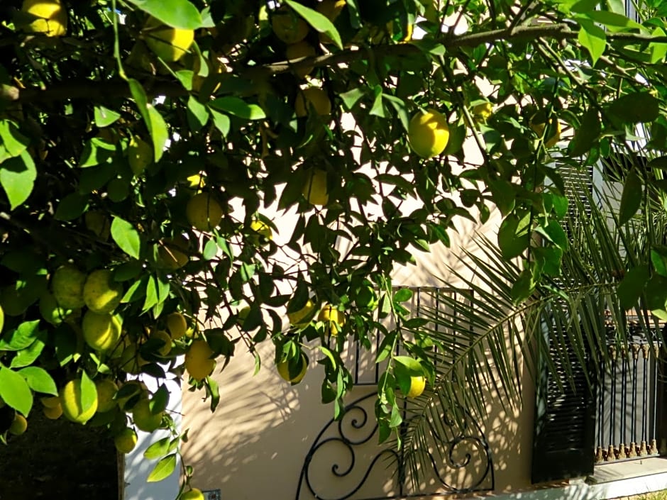 Hotel Kalehan