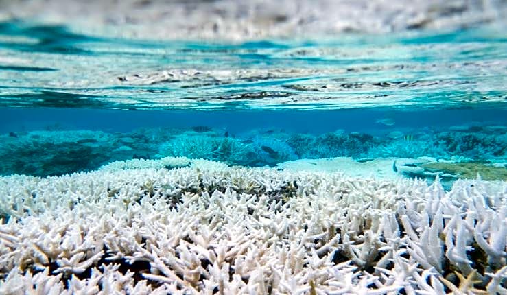 Marrakech Riads, Angsana Heritage Collection