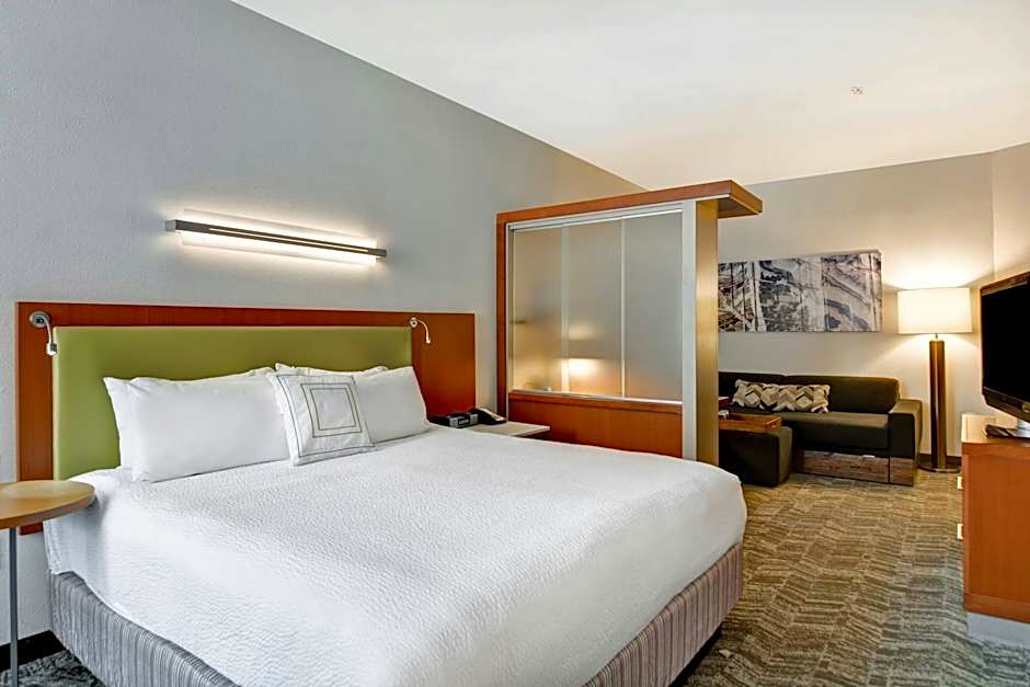 SpringHill Suites by Marriott Cincinnati Midtown