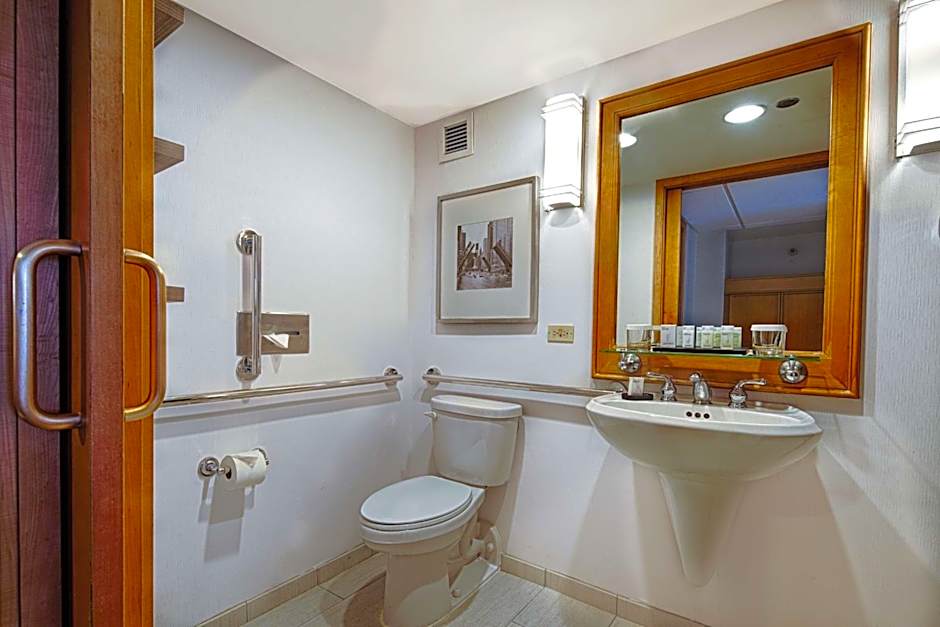 Embassy Suites By Hilton Hotel Chicago O Hare Rosemont