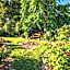Lancewood Lodge